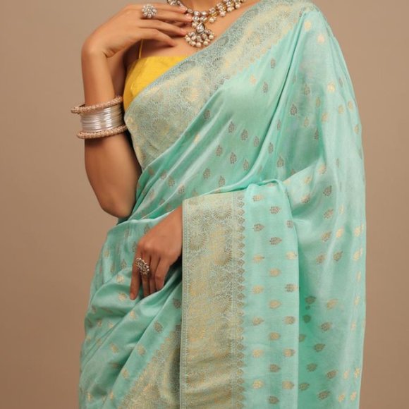 Sky Blue Saree In Dola Silk With Woven Leaf Buttis And Moroccan Weave On Pallu - Picture 3 of 6